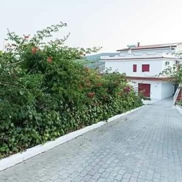 Villa Milena Apartments & Rooms Agropoli Buitenkant foto